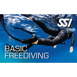 Ssi Basic Freediving